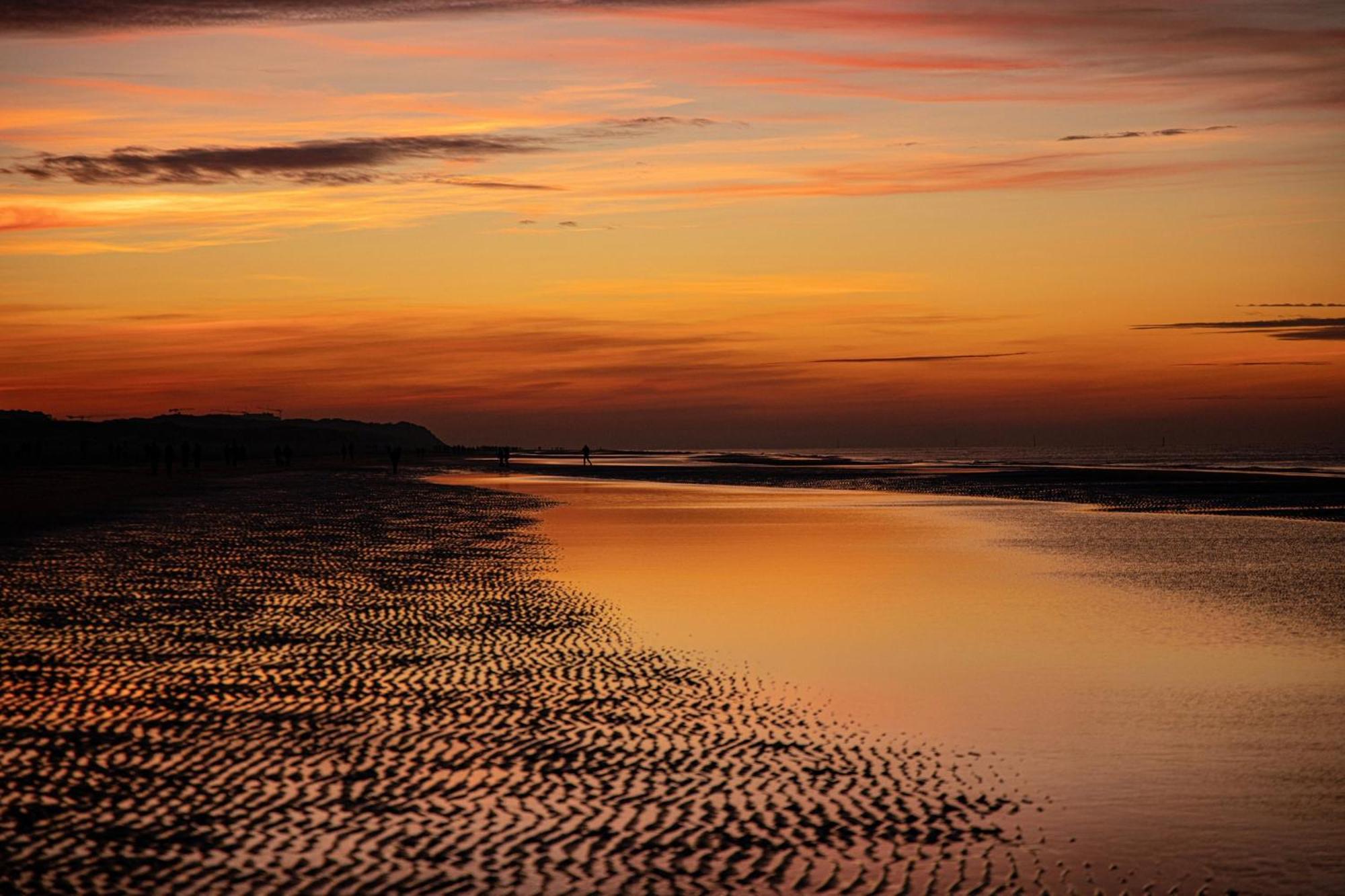 Sealview Sundown Lejlighed Koksijde Eksteriør billede